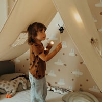 Image 3 of Lampe torche multifonctions FLASHLIGHT vert ou rose