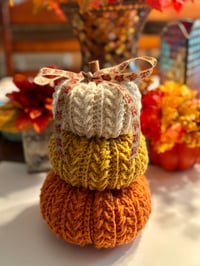 Image 3 of Wheat Stitch Pumpkin Spice Trio 