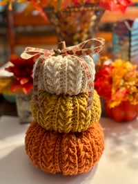 Image 5 of Wheat Stitch Pumpkin Spice Trio 