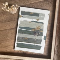 Image 1 of La lumière est un regard 