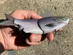 Image of 6.5 5150 Xslowsink (The Alien)