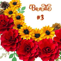 Image 3 of Perfect Combo -  Bundle #3
