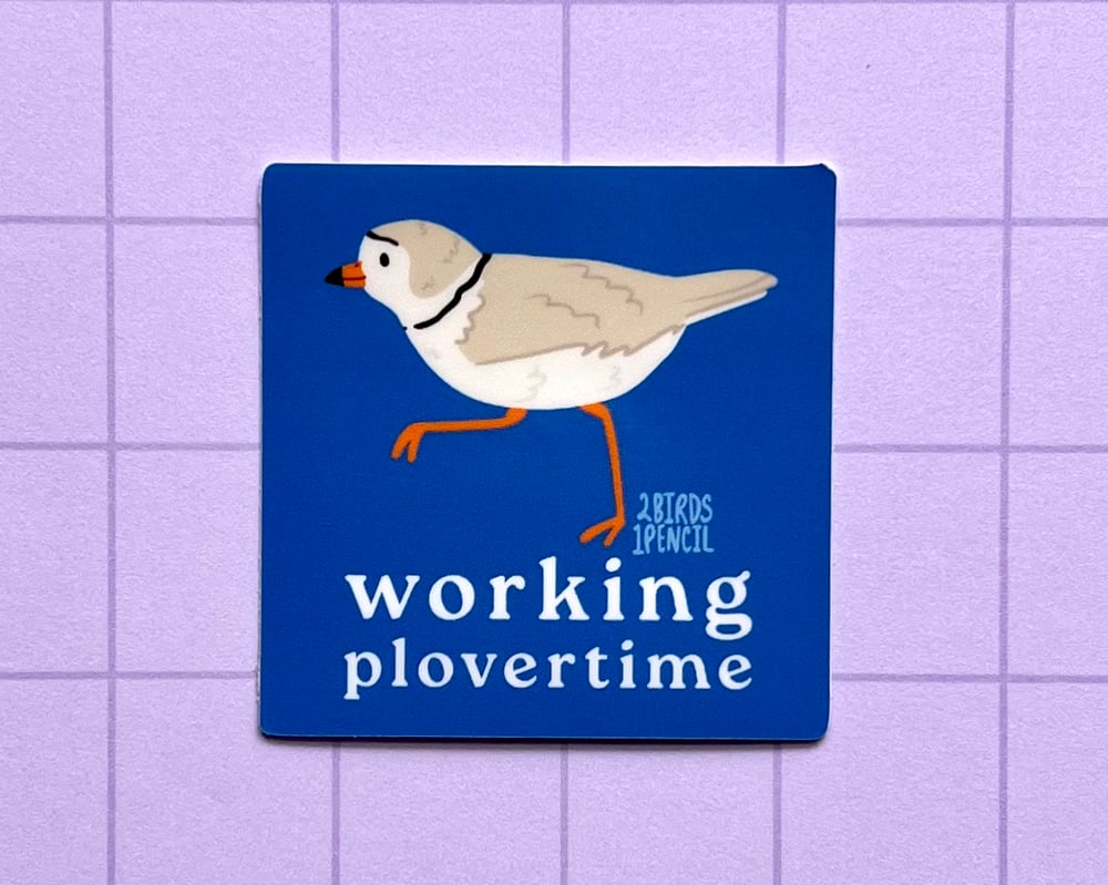 Image of Working plovertime piping plover mini vinyl sticker