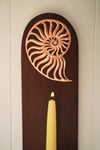 Spiral • Shell • Star Sconce I