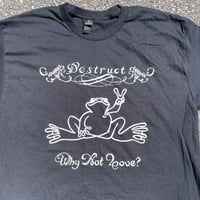 Image 2 of Why Not Love T-Shirt