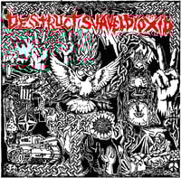 Image 1 of Destruct / Svaveldioxid 7”