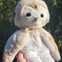 Image 1 of Luna the Owl