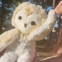 Image 2 of Luna the Owl