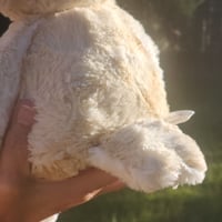 Image 4 of Luna the Owl