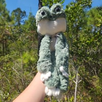 Image 1 of Zippy the frog