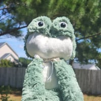 Image 2 of Zippy the frog