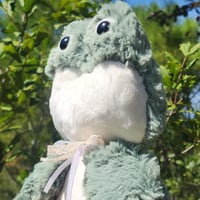 Image 3 of Zippy the frog