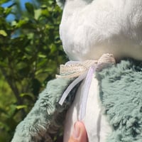 Image 4 of Zippy the frog