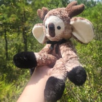 Image 1 of Twig the deer