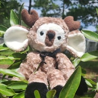 Image 2 of Twig the deer