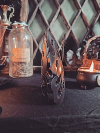 Image 2 of Butterfly lantern 