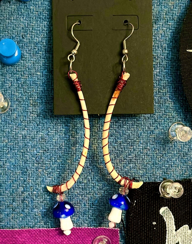 Image of RACCOON MUSHROOM WRAPS 1/1