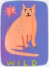 Image 1 of wild cat