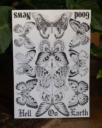 Image 1 of Butterflies III