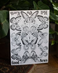 Image 3 of Butterflies III