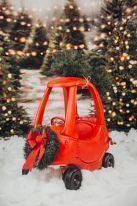 Image 1 of TREE FARM-22nd OCT