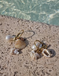 Image 1 of Iris of the sea