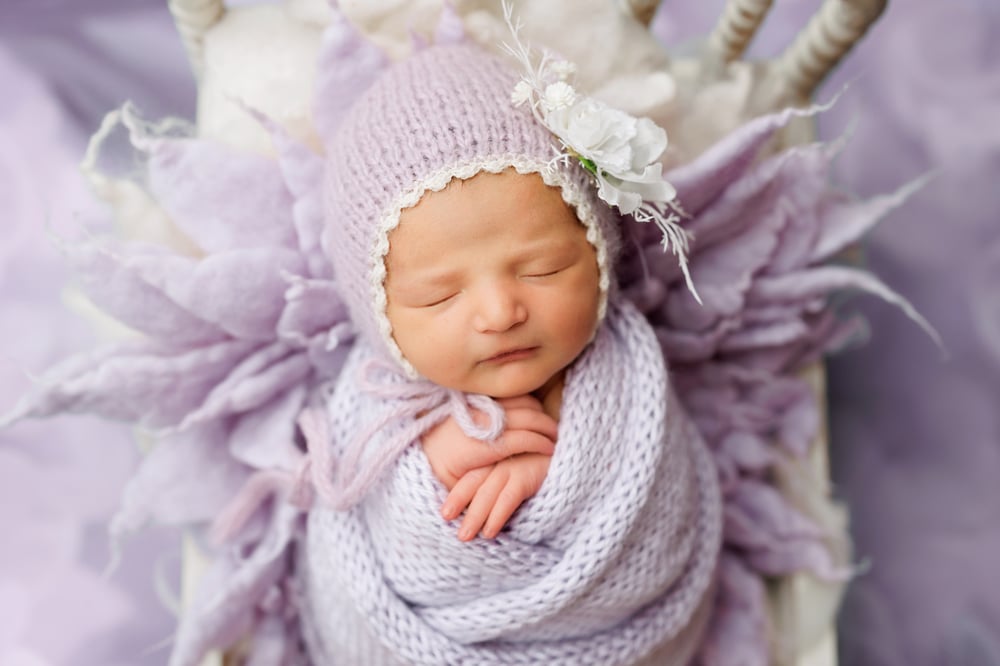 Image of Newborn Session with Due Date in December
