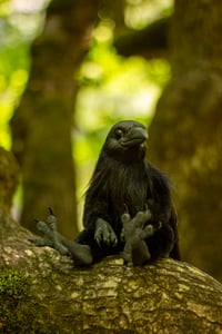 Image 6 of Ravenkind witch familiar - OOAK Poseable art doll [IN STOCK]