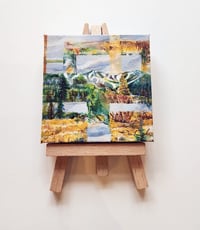 Image 1 of Winter Park- Jim Creek Trail