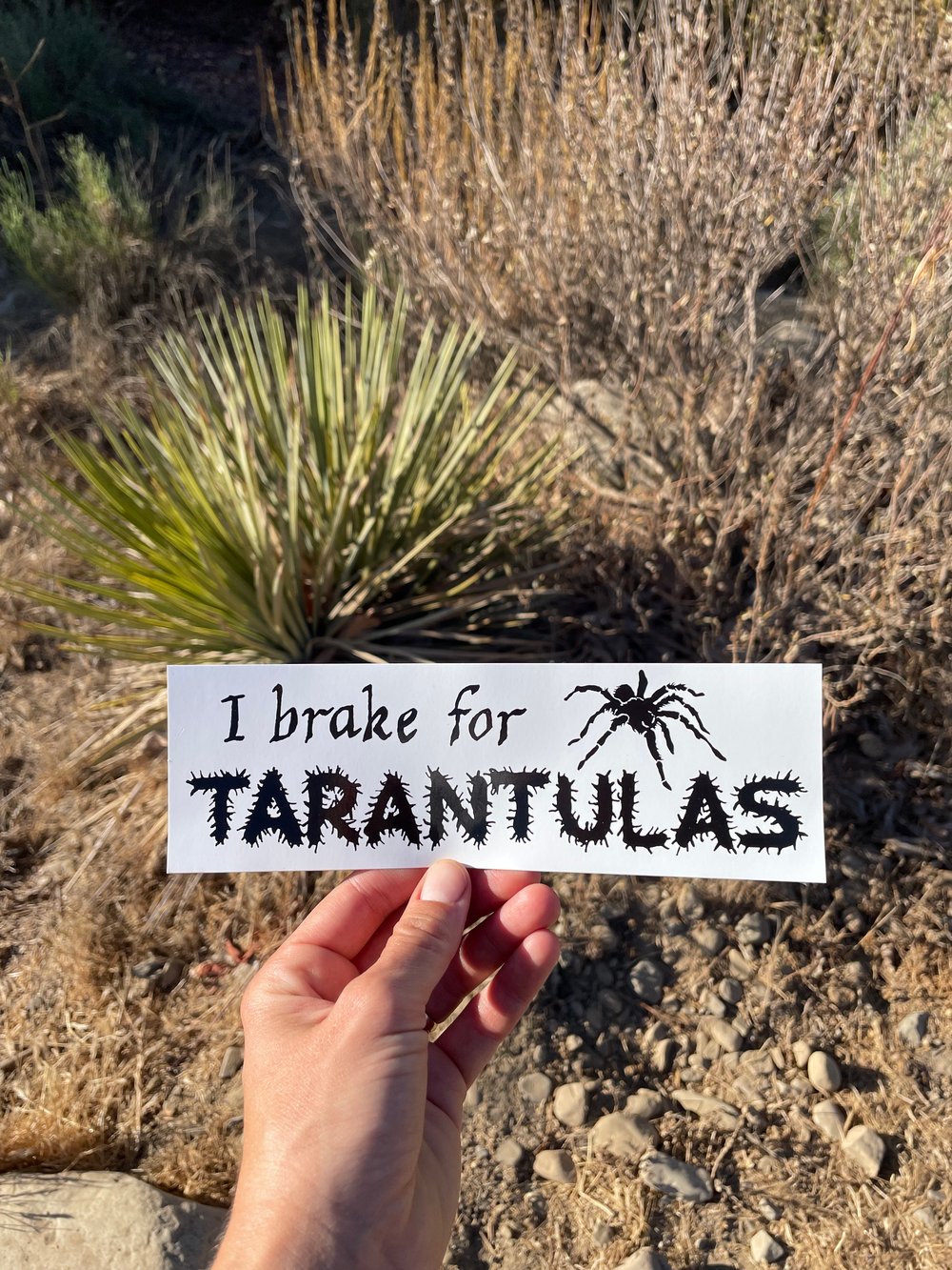 Image of TARANTULAS Bumper Sticker