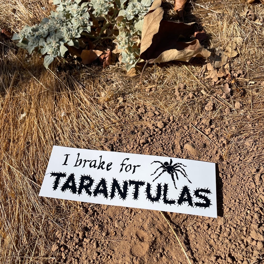 Image of TARANTULAS Bumper Sticker