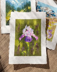 Purple irise - Gouache on handmade paper A5