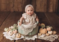 Image 1 of Material pumpkins