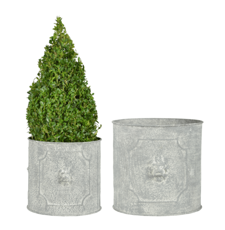 Image of Round Lion Pot 