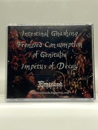Image 4 of Morgue Defilement - Impetus of Decay (promo) 