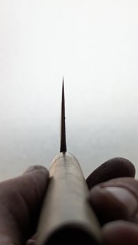 Image 4 of Gyuto 1.2562 | 220mm | Curly Mango