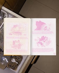 Image 4 of TALK COCK SING SONG BY THE SLOW PRESS