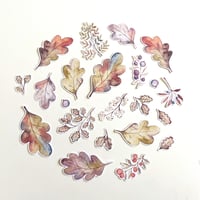 Image 1 of autumn leaves sticker bundle (22 stickers)