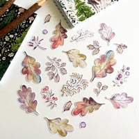 Image 4 of autumn leaves sticker bundle (22 stickers)