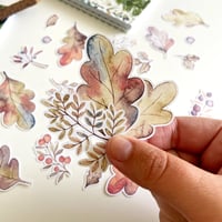Image 3 of autumn leaves sticker bundle (22 stickers)