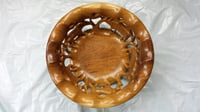 Image 4 of Big five fruit bowl