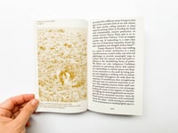 Image 7 of WALKING AS RESEARCH PRACTICE - Alice TWEMLOW / Tania A. CARDOSO