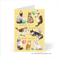 Image 2 of A Purrfect Birthday!