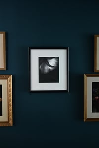 Image 1 of Ranunculus in  Black and White no. 2