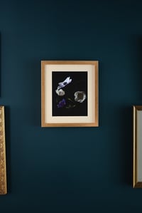 Image 1 of Still Life with Anemone no. 3 - Framed