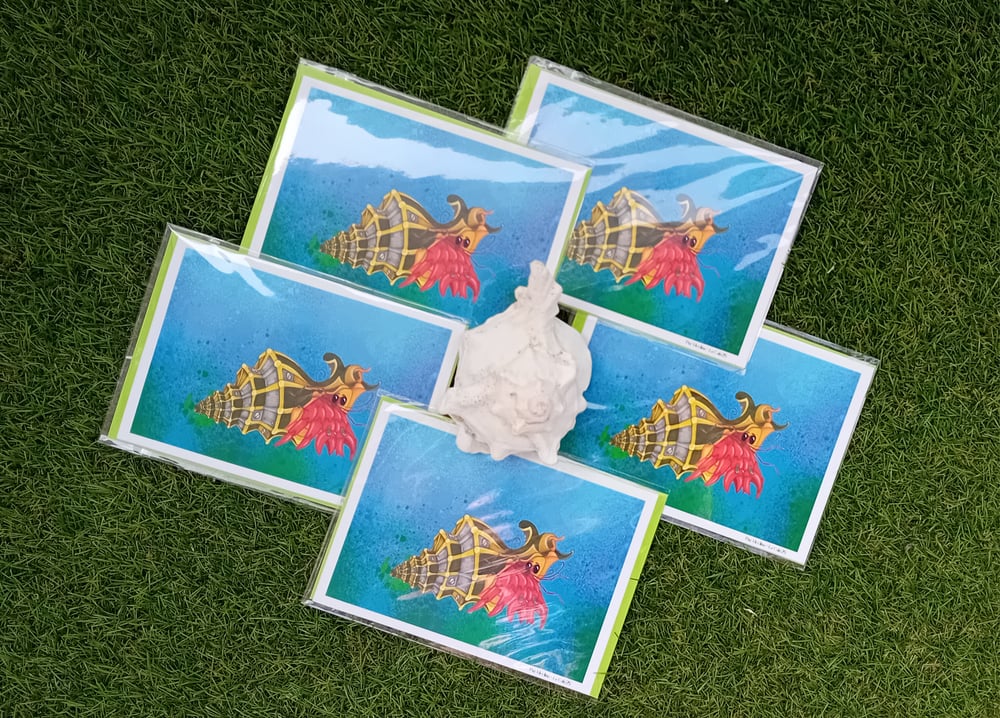 Image of Scarlet Reef Hermit🐚