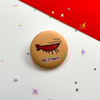 Shrimp IDE STONT pin 