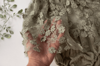 Image 3 of Thyme Set