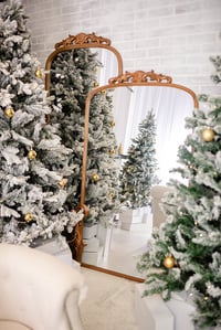 Image 3 of Christmas Family Minis - November 8th  & December 13th