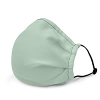 Image 1 of EDGEWATER FACE MASK
